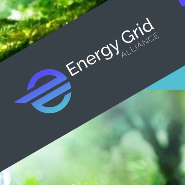 Energy Grid Alliance